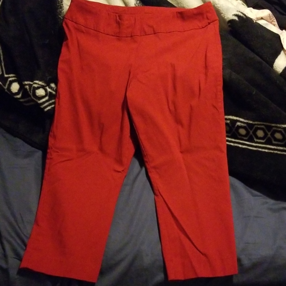 St John's Bay red capris